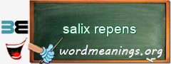 WordMeaning blackboard for salix repens